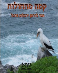 %d7%9b%d7%a8%d7%99%d7%9b%d7%94-%d7%a7%d7%93%d7%9e%d7%99%d7%aa-%d7%a7%d7%9e%d7%94-%d7%9e%d7%94%d7%97%d7%95%d7%9c%d7%95%d7%aa